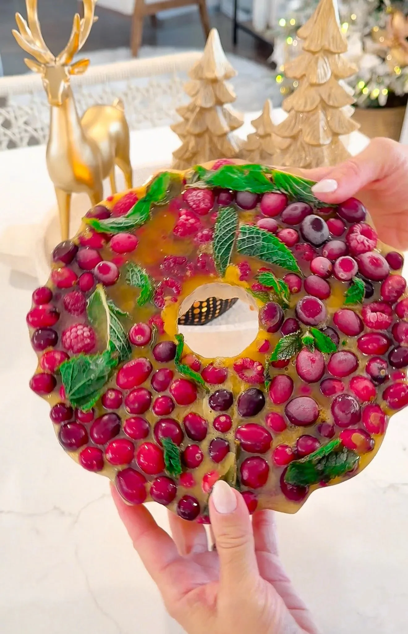 Holiday Orange Juice Ice Cube Mold