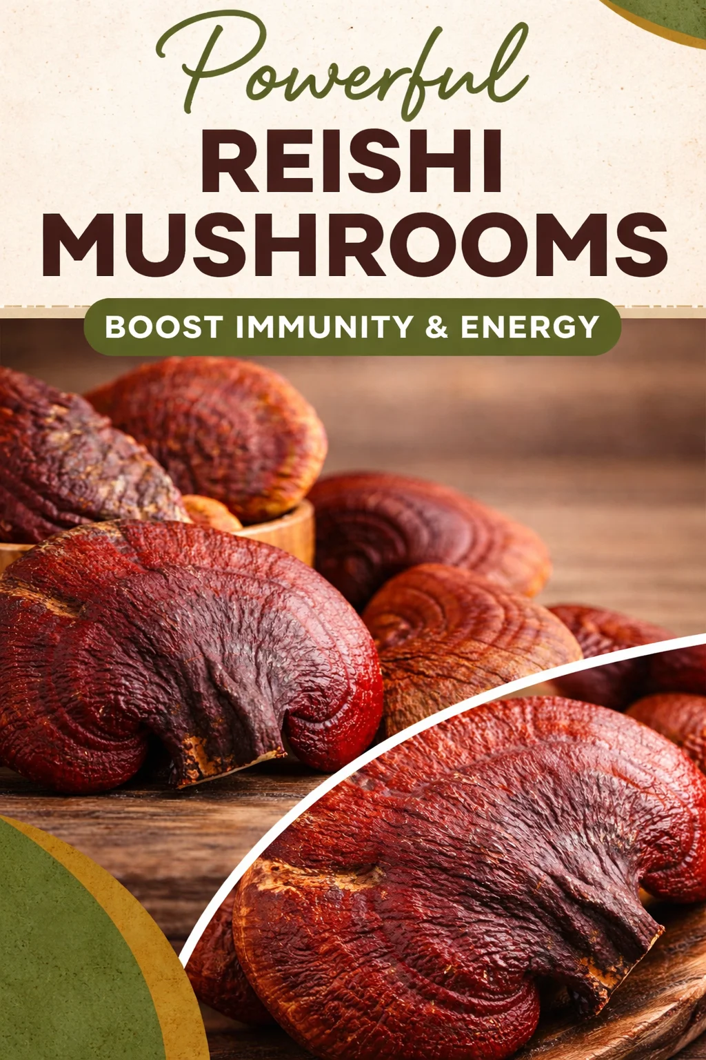 reishi mushroom tea for sleep